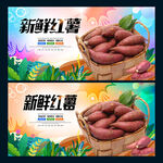新鲜红薯