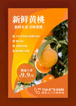 水果店黄桃海报