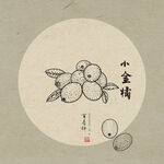 小金橘