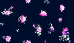 手绘花