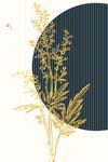 菊花装饰画