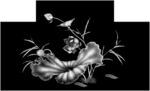 荷花灰度图