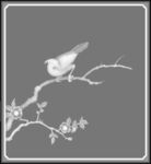 花鸟门板