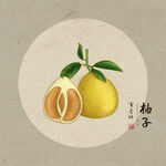 柚子