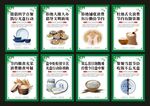 光盘行动