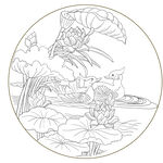 荷花