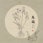手绘茨菇