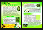 香花油茶简介