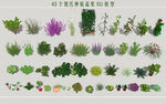 现代种植蔬菜