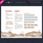 发展概况我们的事业文化墙