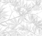 艺术背景底纹