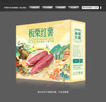 红薯包装