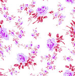玫瑰花