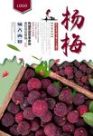 杨梅