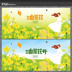 油菜花