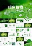 春暧花开绿色植物发芽生长ppt