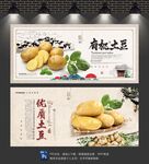 土豆