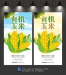 玉米