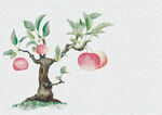 苹果树盆景插画花卉册页
