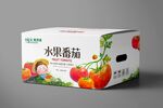 水果番茄 水果西红柿设计平面图