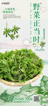 野菜正当时