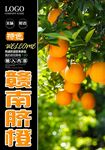 赣南脐橙