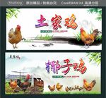土家鸡 椰子鸡