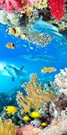 海底珊瑚海藻3D玄关背景墙