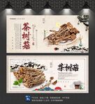 茶树菇
