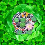 锦鲤鹅软石荷花荷叶3D时尚地板