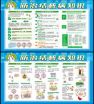 世界防治结核病日宣传栏