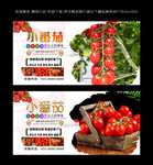 小番茄