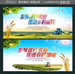 发展现代农业 