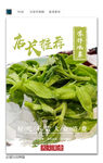 冰草