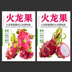 火龙果