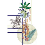 花卉植物