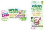 踏青出游清明吊牌易拉宝