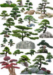 造型松石小景