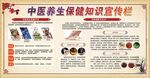 中医养生保健宣传栏