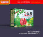 柚子包装 青柚包装