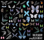 精灵翅膀