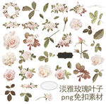 淡雅玫瑰叶子