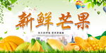 新鲜 芒果