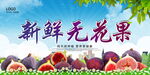 新鲜无花果