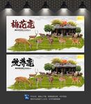 梅花鹿