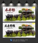 水牛
