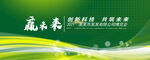 绿色背景板