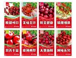 樱桃挂画