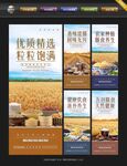 五谷杂粮