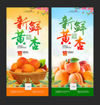 黄杏海报
